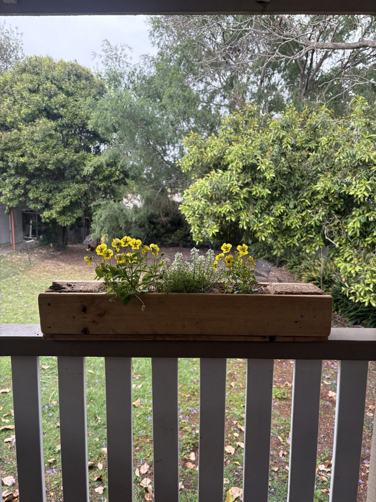 Windowsill Planter